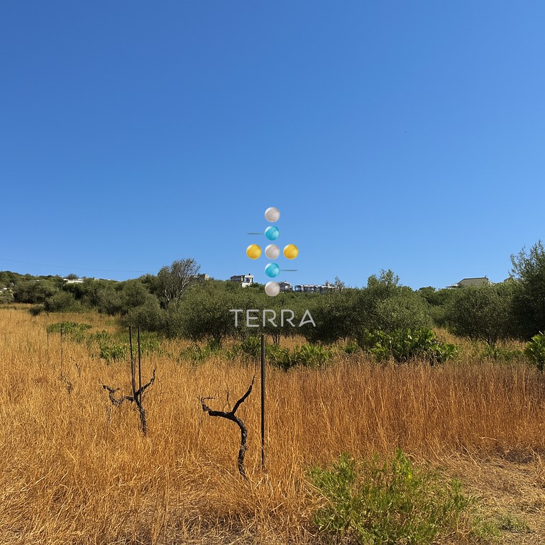 Αγροτεμάχια 1.135 τ.μ. πρός πώληση, Ν. Ρεθύμνου, Αρκάδι