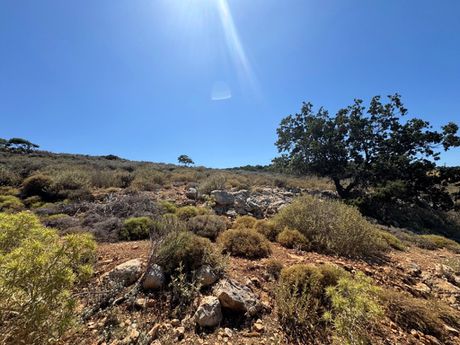 Parcel 4.010sqm for sale-Nikiforos Fokas