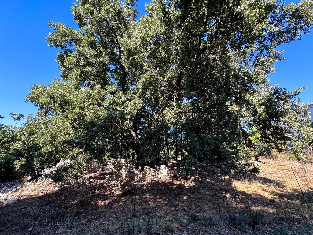 Οικόπεδο 557 τ.μ. πρός πώληση, Ν. Ρεθύμνου, Νικηφόρος Φωκάς