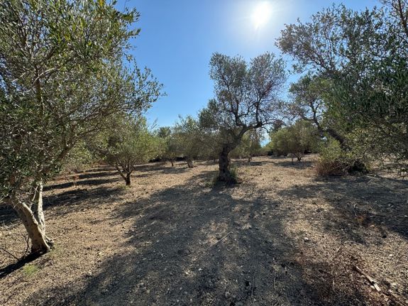 Land plot 2.392 sqm for sale, Rethymno Prefecture, Nikiforos Fokas