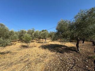 Οικόπεδο 2.326 τ.μ. για πώληση