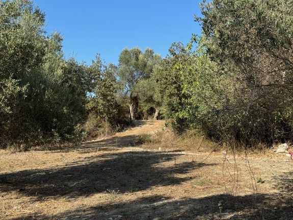 Land plot 1.645 sqm for sale, Rethymno Prefecture, Nikiforos Fokas