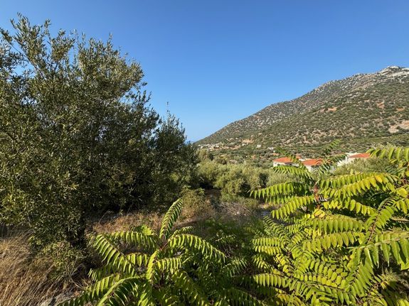 Land plot 4.185 sqm for sale, Rethymno Prefecture, Geropotamos