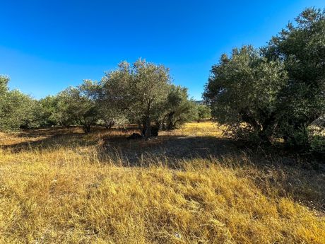 Οικόπεδο 2.711τ.μ. για πώληση-Νικηφόρος φωκάς