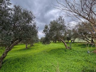 Οικόπεδο 2.920 τ.μ. για πώληση