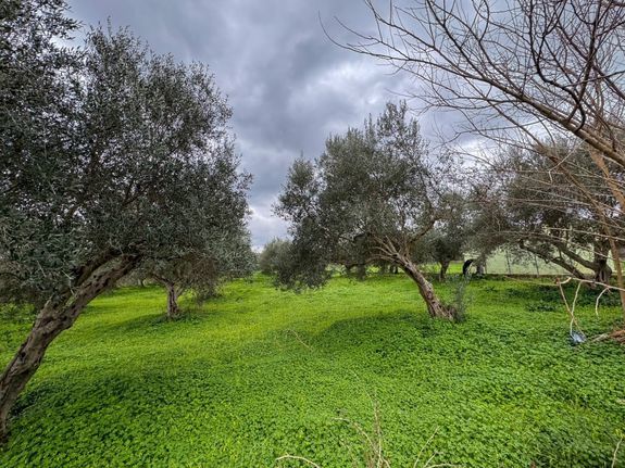 Land plot 2.920 sqm for sale, Rethymno Prefecture, Nikiforos Fokas