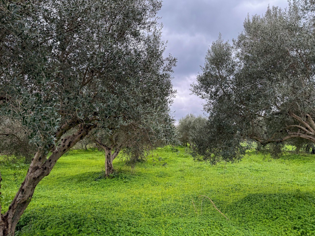 Οικόπεδο 2.920 τ.μ. πρός πώληση, Ν. Ρεθύμνου, Νικηφόρος Φωκάς