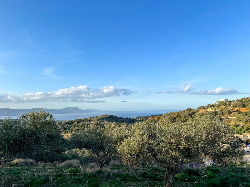 Οικόπεδο 4.500 τ.μ. πρός πώληση, Ν. Ρεθύμνου, Λάππα