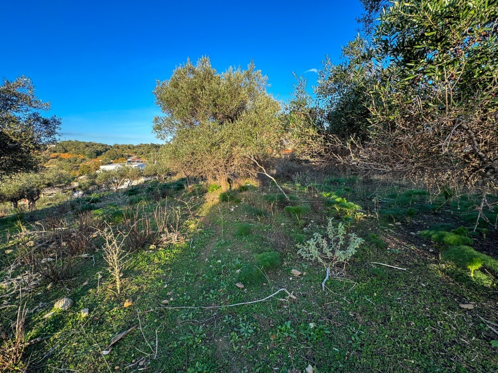 Οικόπεδο 4.500 τ.μ. πρός πώληση, Ν. Ρεθύμνου, Λάππα