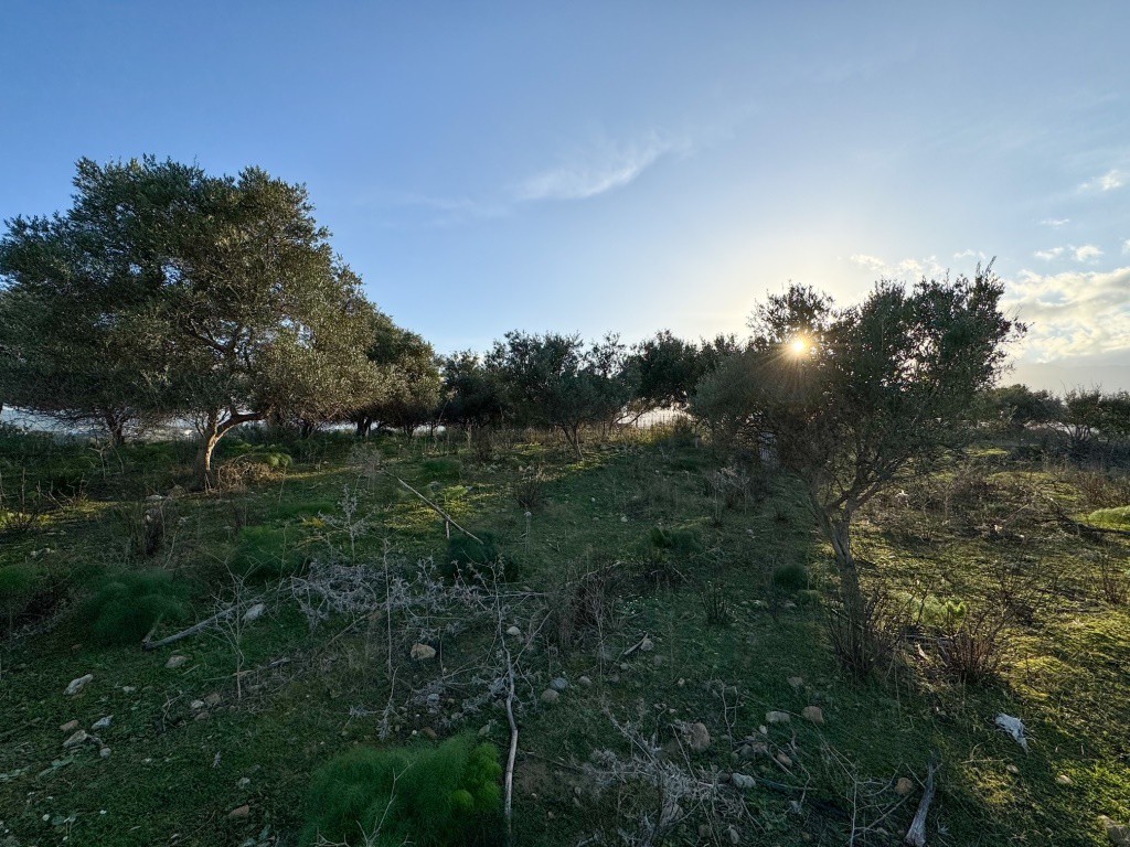 Οικόπεδο 4.500 τ.μ. πρός πώληση, Ν. Ρεθύμνου, Λάππα