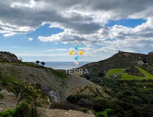 Αγροτεμάχια 10.098 τ.μ. για πώληση