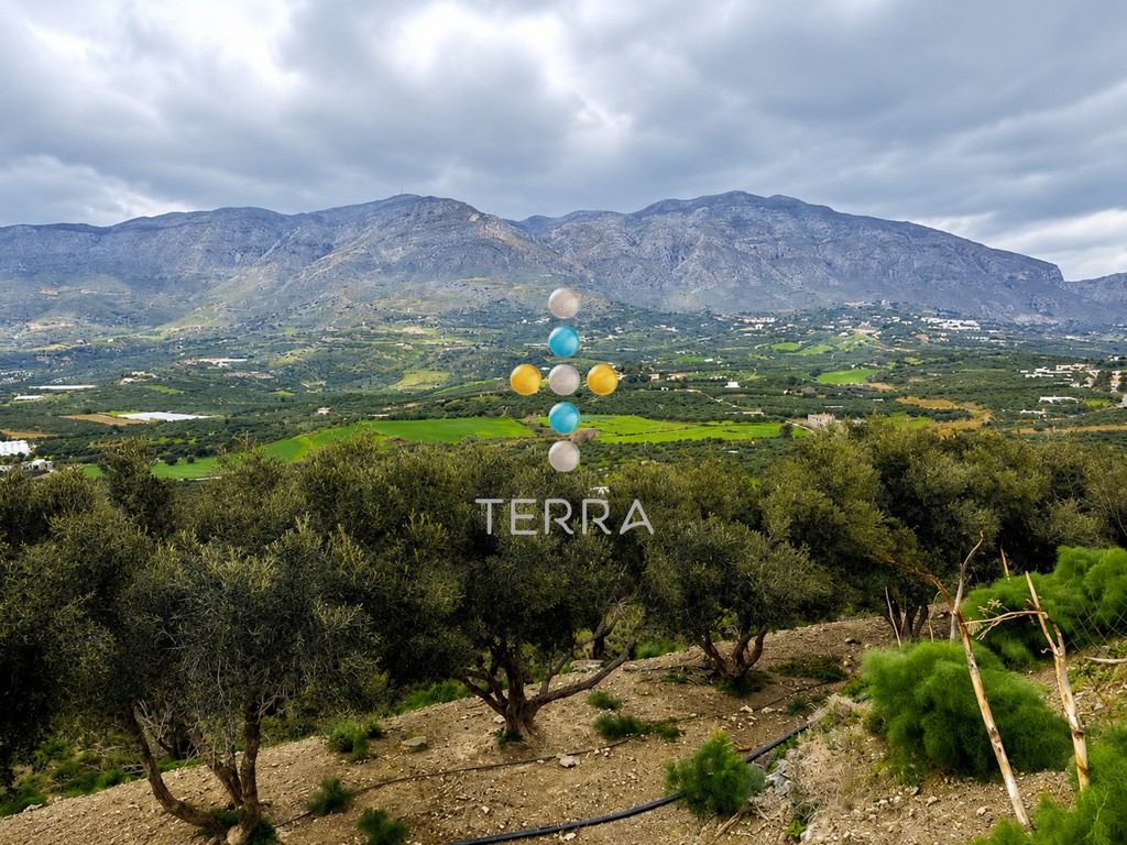 Αγροτεμάχια 10.098 τ.μ. πρός πώληση, Ν. Ρεθύμνου, Φοινίκας