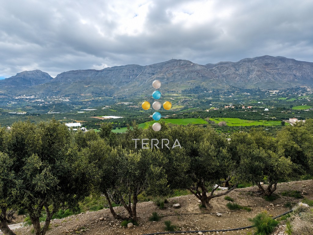 Αγροτεμάχια 10.098 τ.μ. πρός πώληση, Ν. Ρεθύμνου, Φοινίκας