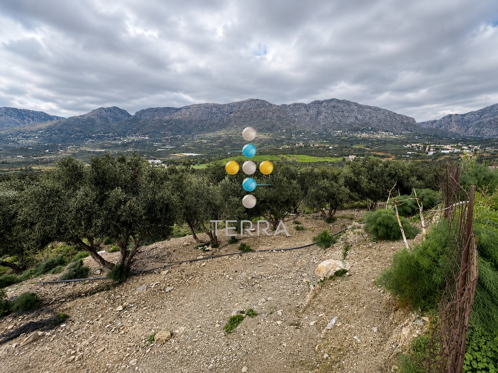Αγροτεμάχια 10.098 τ.μ. πρός πώληση, Ν. Ρεθύμνου, Φοινίκας