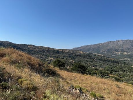 Αγροτεμάχια 19.395τ.μ. για πώληση-Σίβριτος