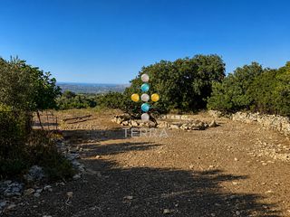 Αγροτεμάχια 5.843 τ.μ. για πώληση