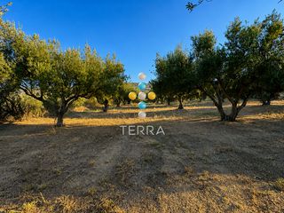 Αγροτεμάχια 7.000 τ.μ. για πώληση, Ν. Ρεθύμνου, Αρκάδι-thumb-7