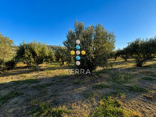 Αγροτεμάχια 7.000 τ.μ. για πώληση, Ν. Ρεθύμνου, Αρκάδι-thumb-2