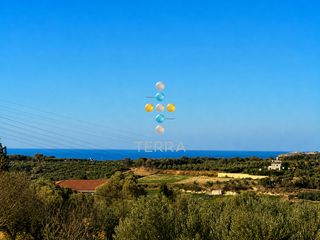 Αγροτεμάχια 7.000 τ.μ. για πώληση