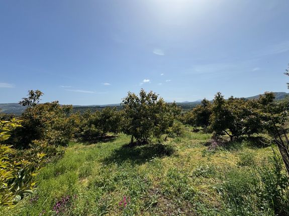 Parcel 4.372 sqm for sale, Rethymno Prefecture, Lappa