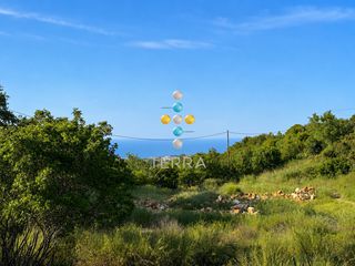 Αγροτεμάχια 15.700 τ.μ. για πώληση