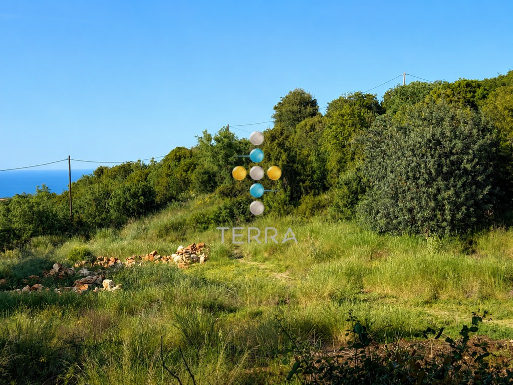 Αγροτεμάχια 15.700 τ.μ. πρός πώληση, Ν. Ρεθύμνου, Νικηφόρος Φωκάς