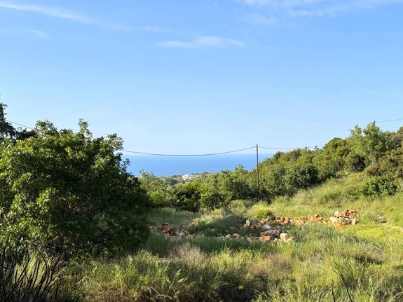 Parcel 15.700 sqm for sale, Rethymno Prefecture, Nikiforos Fokas