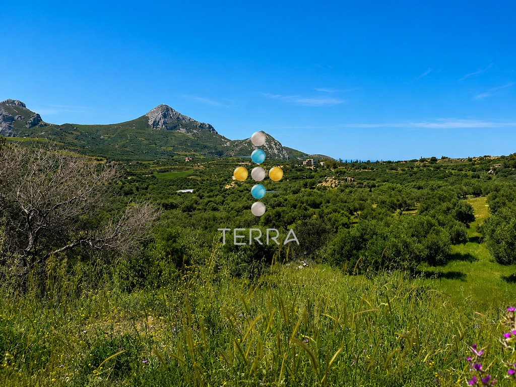 Οικόπεδο 3.096 τ.μ. πρός πώληση, Ν. Ρεθύμνου, Φοινίκας