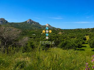 Οικόπεδο 3.096 τ.μ. για πώληση