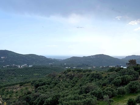 Οικόπεδο 1.006τ.μ. για πώληση-Φοινίκας