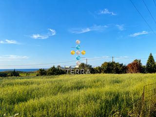 Οικόπεδο 1.820 τ.μ. για πώληση