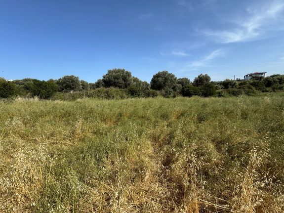 Land plot 1.000 sqm for sale, Rethymno Prefecture, Arkadi