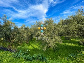 Οικόπεδο 4.752 τ.μ. για πώληση