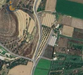 Αγροτεμάχια 6.000 τ.μ. για πώληση