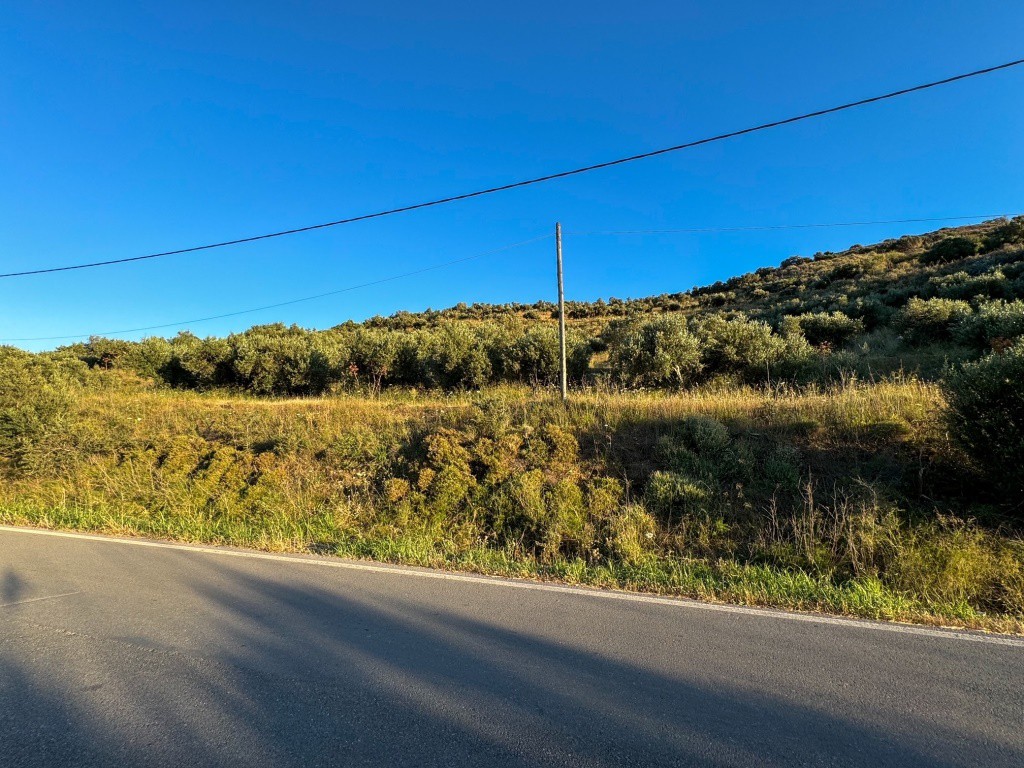 Αγροτεμάχια 10.635 τ.μ. πρός πώληση, Ν. Ρεθύμνου, Φοινίκας