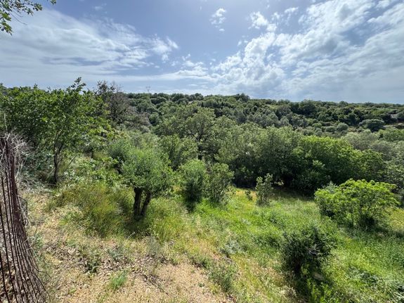 Parcel 1.600 sqm for sale, Rethymno Prefecture, Rethimno
