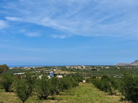 Αγροτεμάχια 5.515τ.μ. για πώληση-Αρκάδι