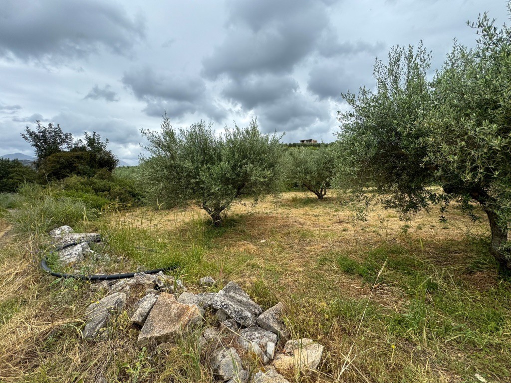 Οικόπεδο 5.965 τ.μ. για πώληση, Ν. Ρεθύμνου, Γεροπόταμος