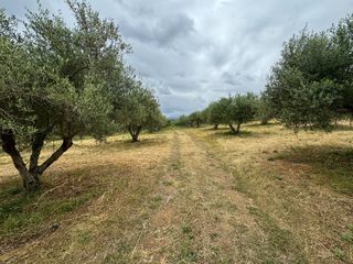 Οικόπεδο 5.965 τ.μ. προς πώληση, Πέραμα Γεροποτάμου-thumb-4
