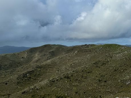 Αγροτεμάχια 95.000τ.μ. για πώληση-Λάμπη