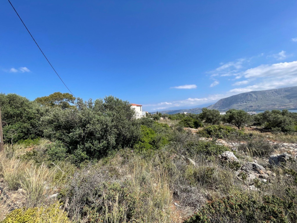 Αγροτεμάχια 2.544 τ.μ. προς πώληση, Αρώνι