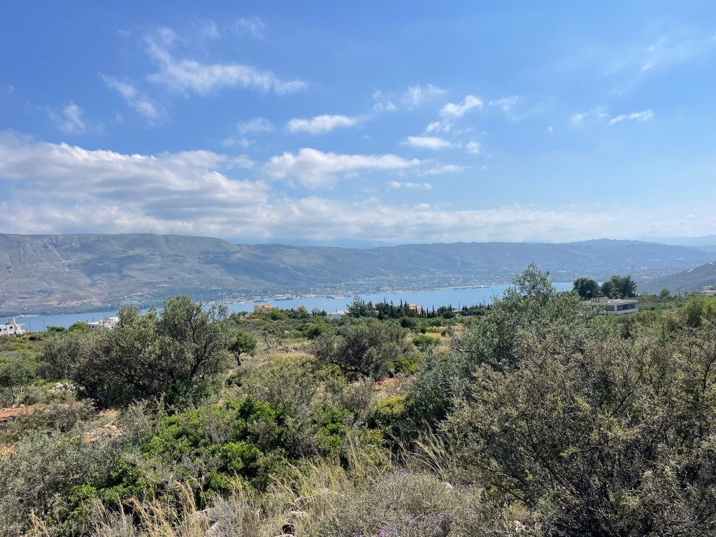 Αγροτεμάχια 2.544 τ.μ. προς πώληση, Αρώνι