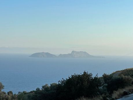 Αγροτεμάχια 4.200,45τ.μ. για πώληση-Λάμπη