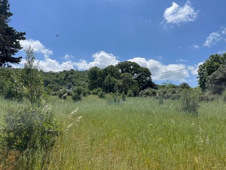 Οικόπεδο 1.205τ.μ. για πώληση-Ρέθυμνο