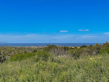 Οικόπεδο 4.017τ.μ. για πώληση-Αρκάδι