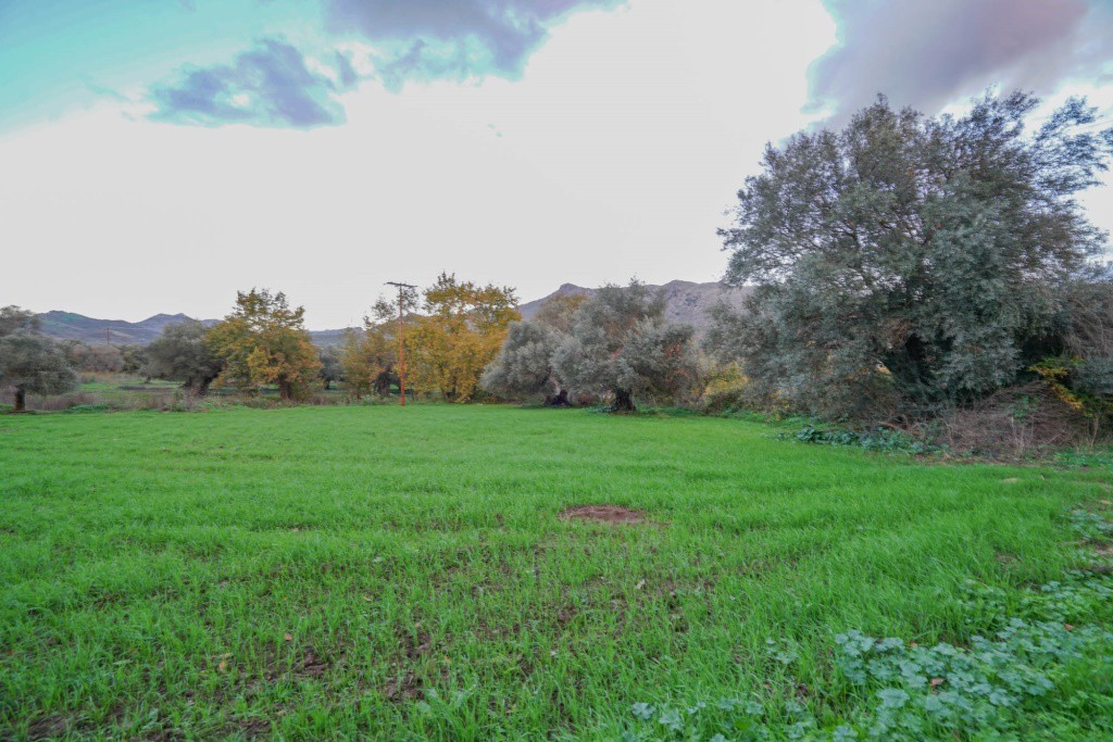 Οικόπεδο 1.890 τ.μ. πρός πώληση, Ν. Ρεθύμνου, Φοινίκας