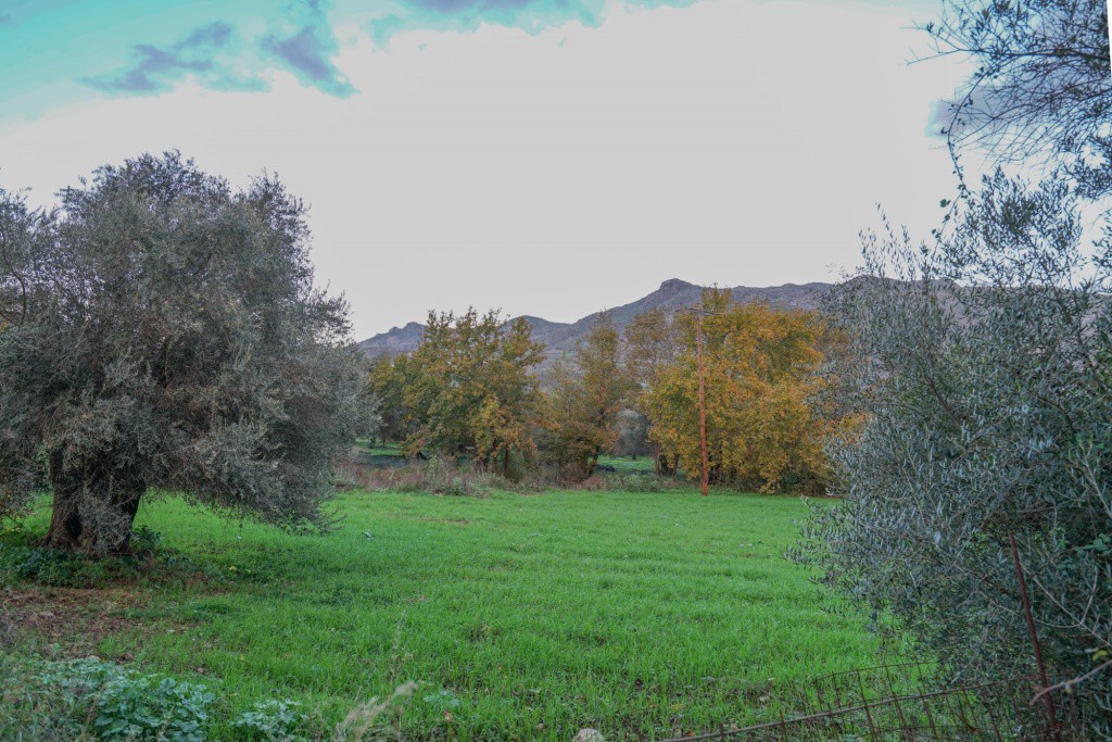 Οικόπεδο 1.890 τ.μ. πρός πώληση, Ν. Ρεθύμνου, Φοινίκας