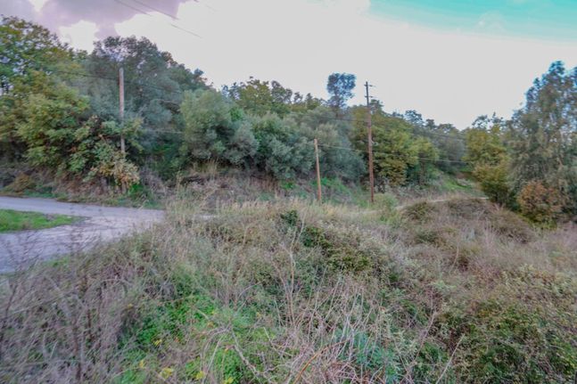 Οικόπεδο 1.000 τ.μ. για πώληση, Ν. Ρεθύμνου, Φοινίκας