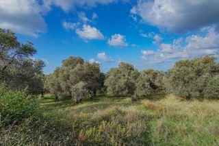 Οικόπεδο 4.783 τ.μ. για πώληση, Ν. Ρεθύμνου, Αρκάδι-thumb-4