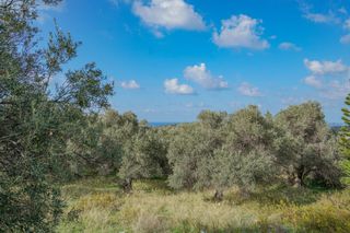 Οικόπεδο 4.783 τ.μ. για πώληση, Ν. Ρεθύμνου, Αρκάδι-thumb-1